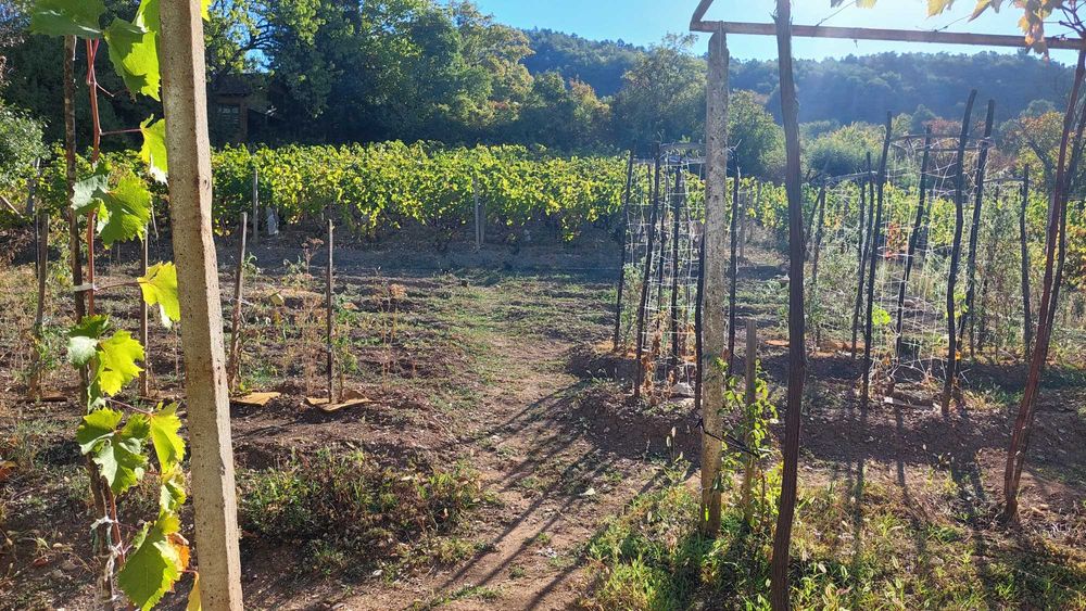 Продава се Къща в Враца, Студентски град - 30 кв.м за 442 €/кв.м - Снимка #4