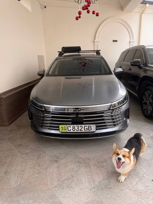 Byd Chazor flagship 2023