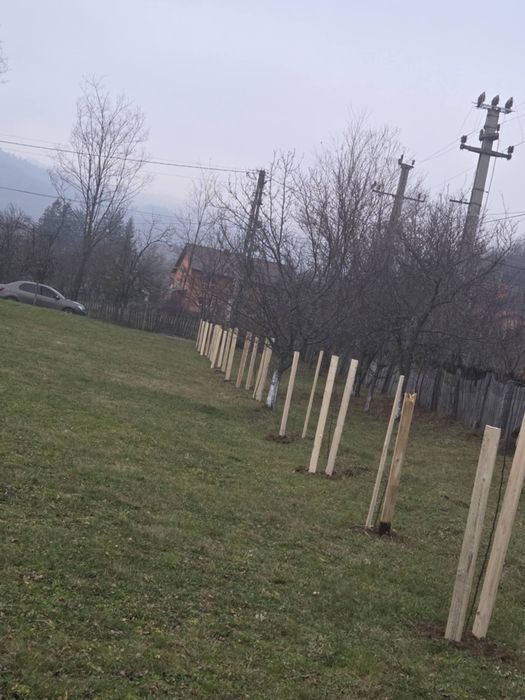 Teren intravilan cu căbănuță valea Doftanei, cheile Doftanei