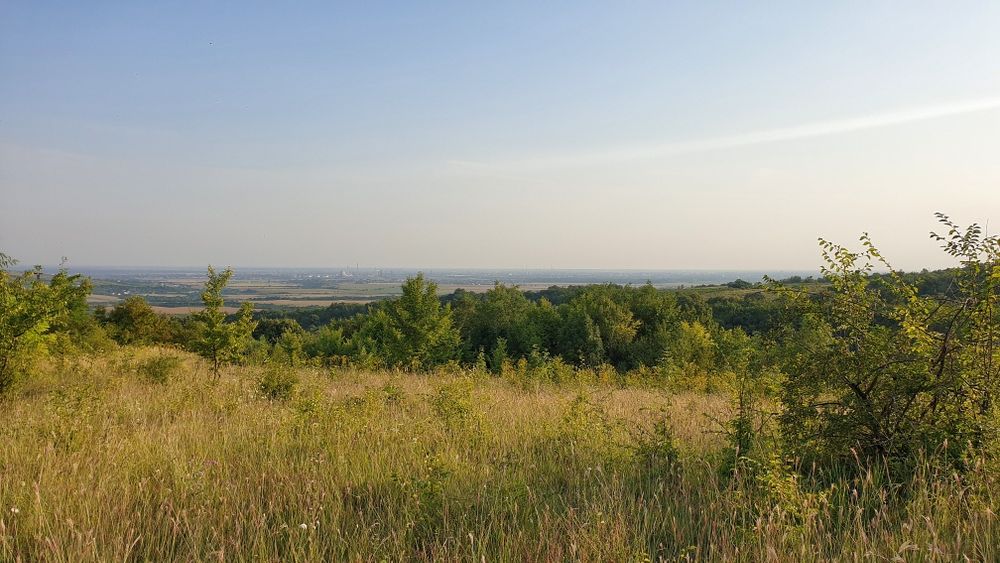 Teren  Extravilan ,Vita de  vie /Comuma Plopu, Judetul Prahova