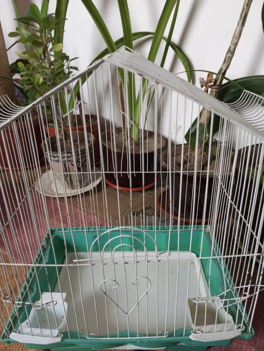 Клетка для птиц в хорошем состоянии
