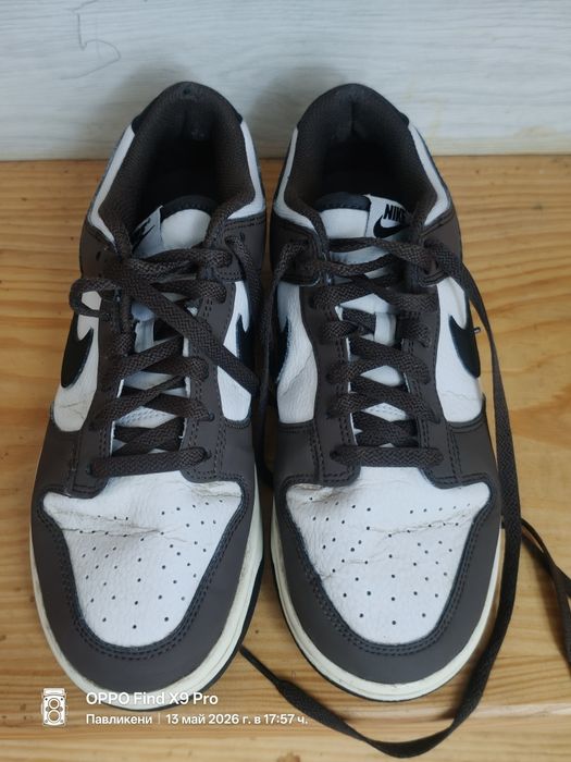 Nike Dunk Low Next Nature "Summit White/Baroque Brown