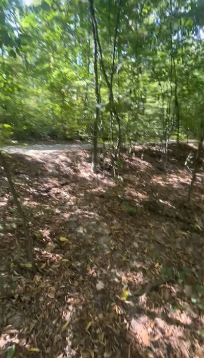 1919 mp teren extravilan -pădure- Găvana Pitești