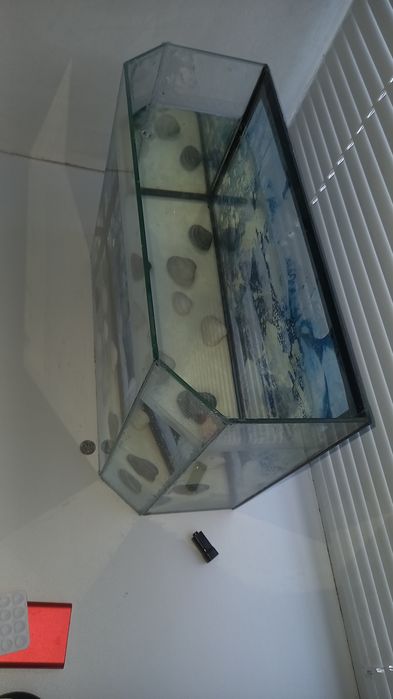 Аквариум аквариум