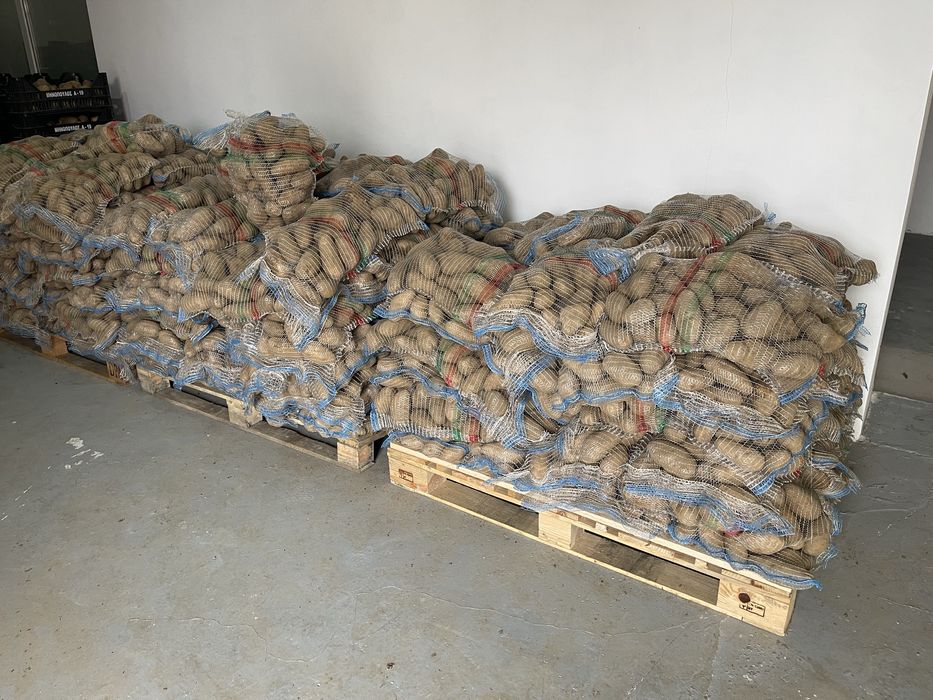 Cartofi 1 leu/kg 55+