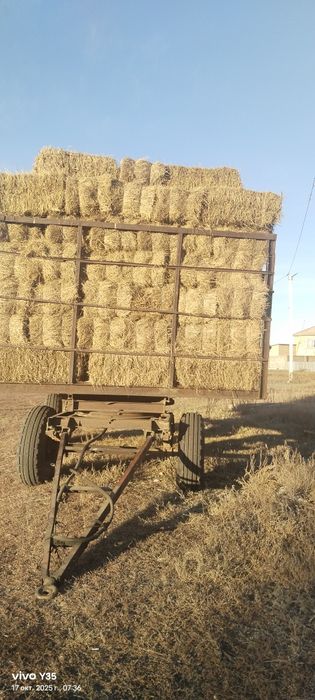 Сено в тюках 1000тг