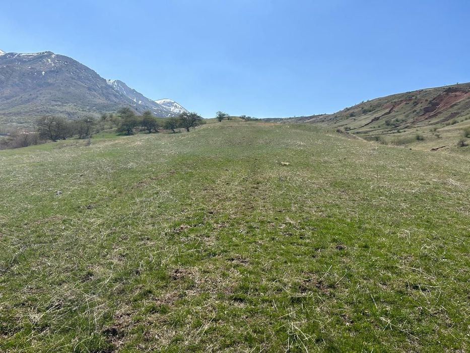 1га жер Акмешіт (Ленгер)