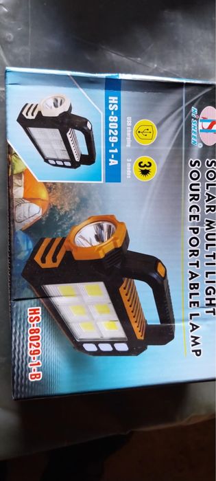 Casă, gradină, camera supraveghere