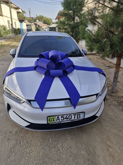 Bant, бантик на авто, бант на машину автобантик МЕД ГОРОДОК