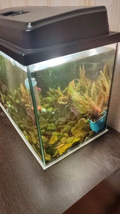 Продам аквариум для рыб