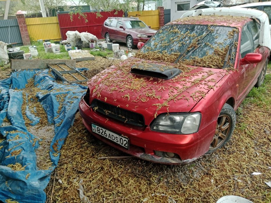 Продам Субару Легаси