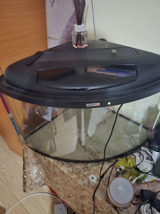 Vand acvariu peștii