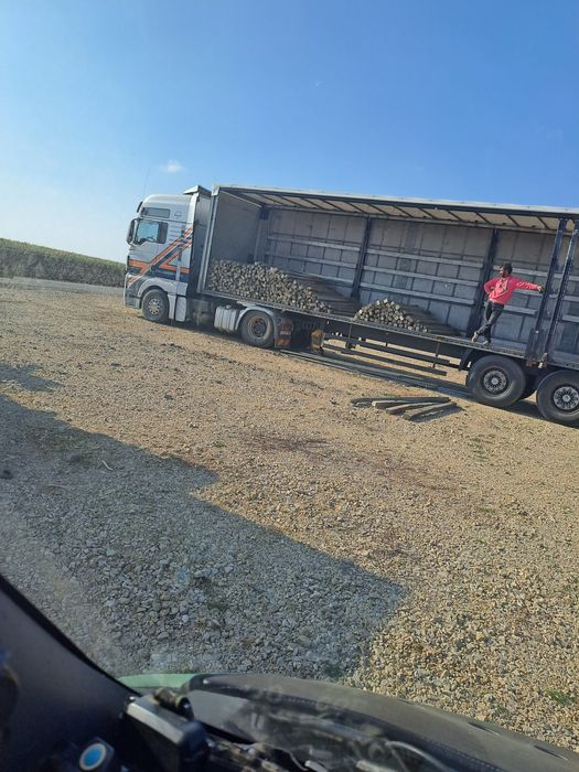 Șeranpoi  șpalieri de beton armat