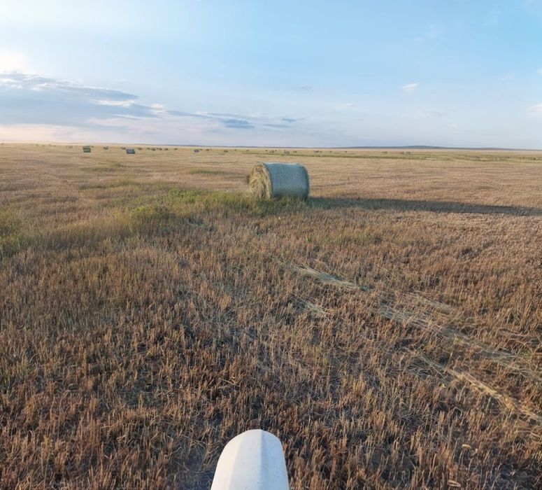 рулонный шоп, сено рулонные