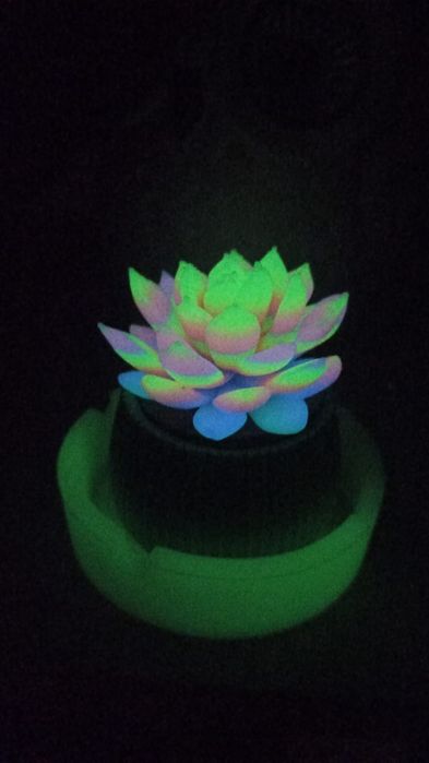 Цветы сувенирные,для декора и др.