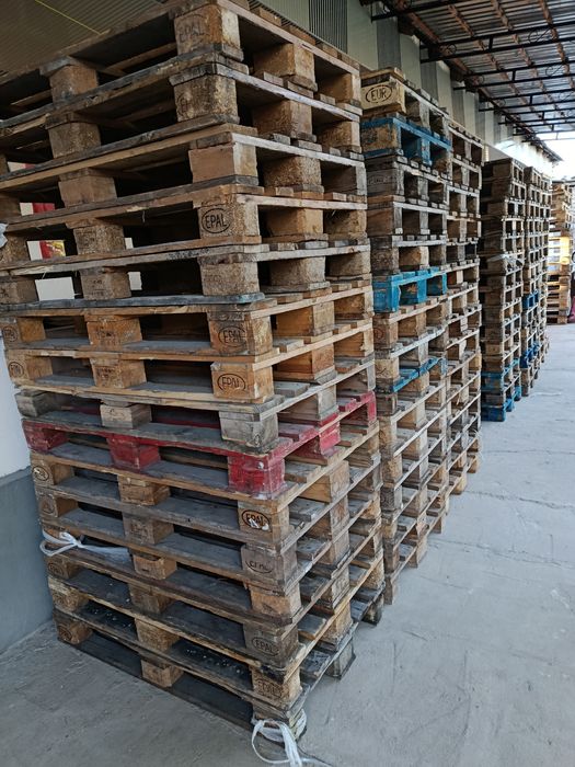 Evro bor 2-3 sort