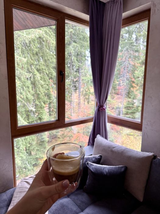 Дава се под наем Двустаен апартамент в к.к. Пампорово - 70 кв.м за 69.36 € - Снимка #4