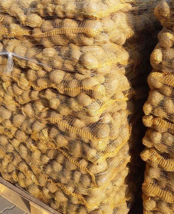 Vand cartofi consum,calibru 60+