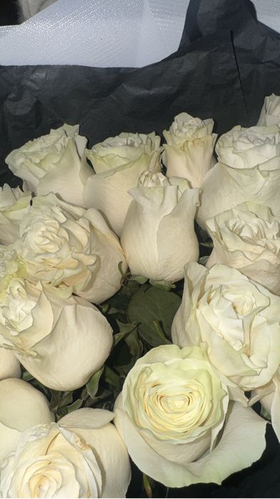 Метровые белые розы 21 шт