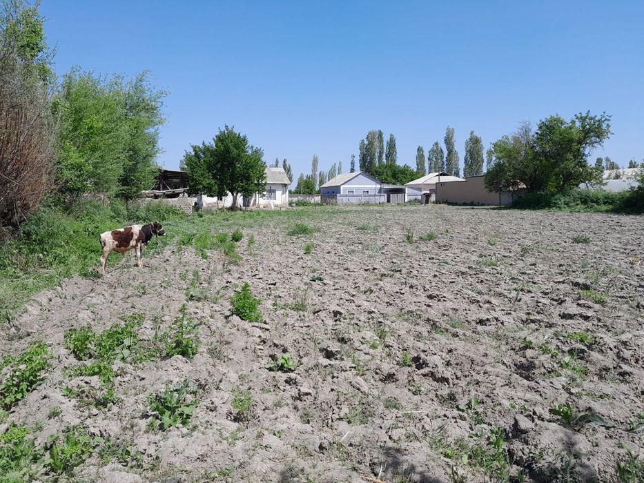 Участка 45 сотик