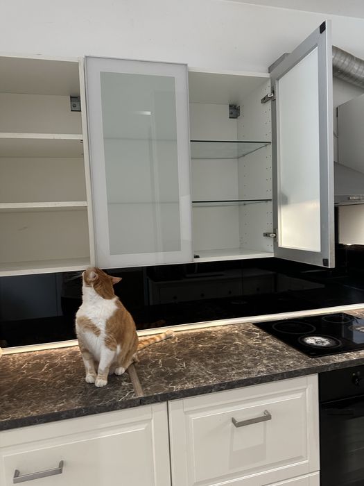 URGENT vand bucatarie