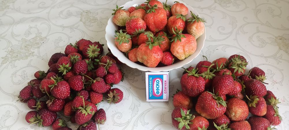 Продам саженцы клубники