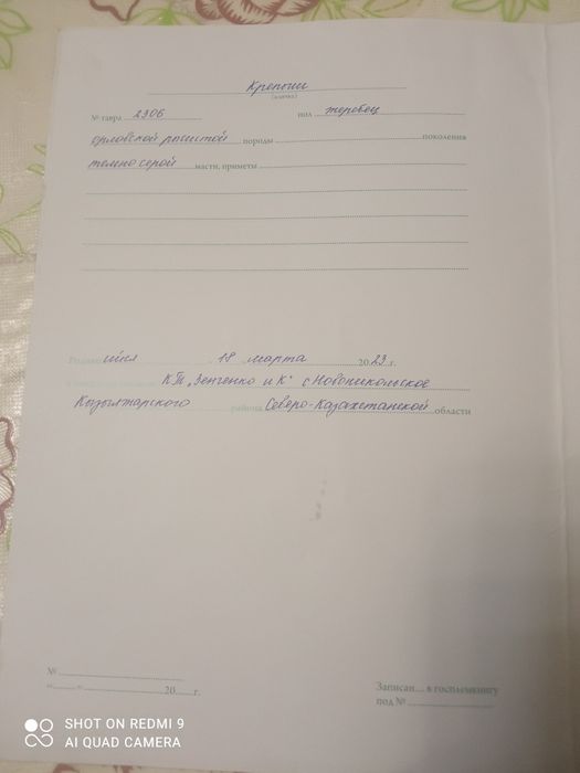 Продам Орловского жеребца 3 лет