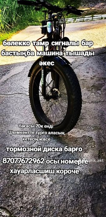 Велосипед анаконда