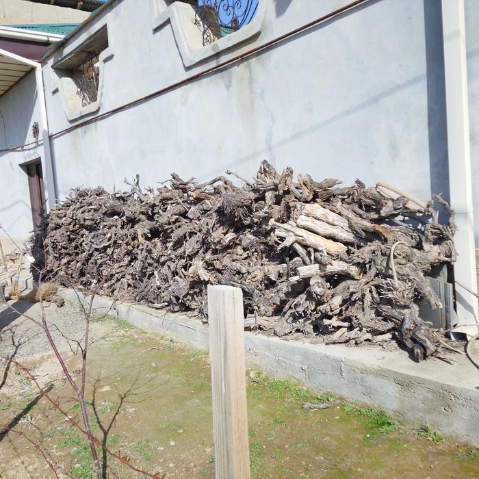 Утин. Дрова сотилади