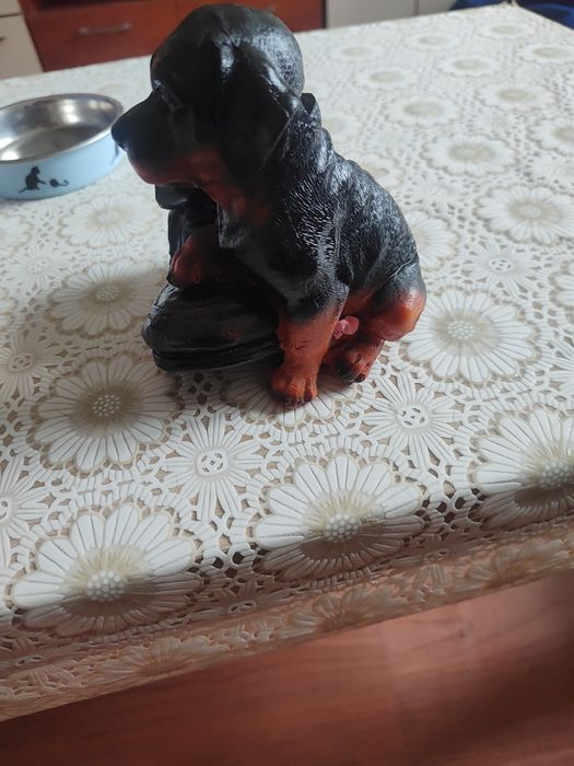 Касичка - Куче и обувка.