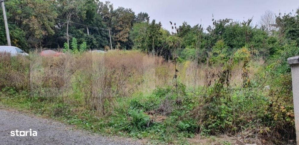 Teren 5 ari in Tg Mures