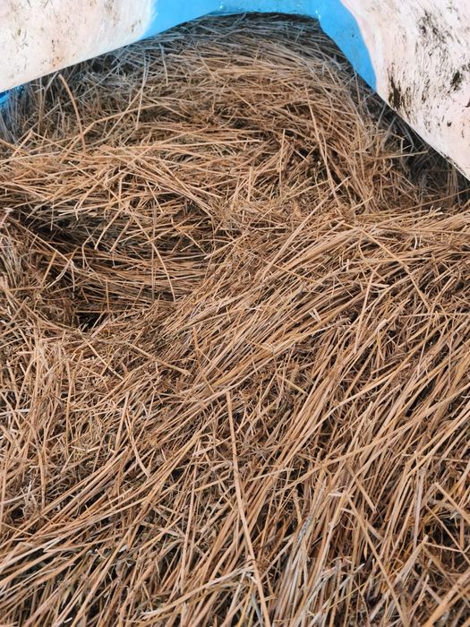 Vând baloți de fân și lucernă