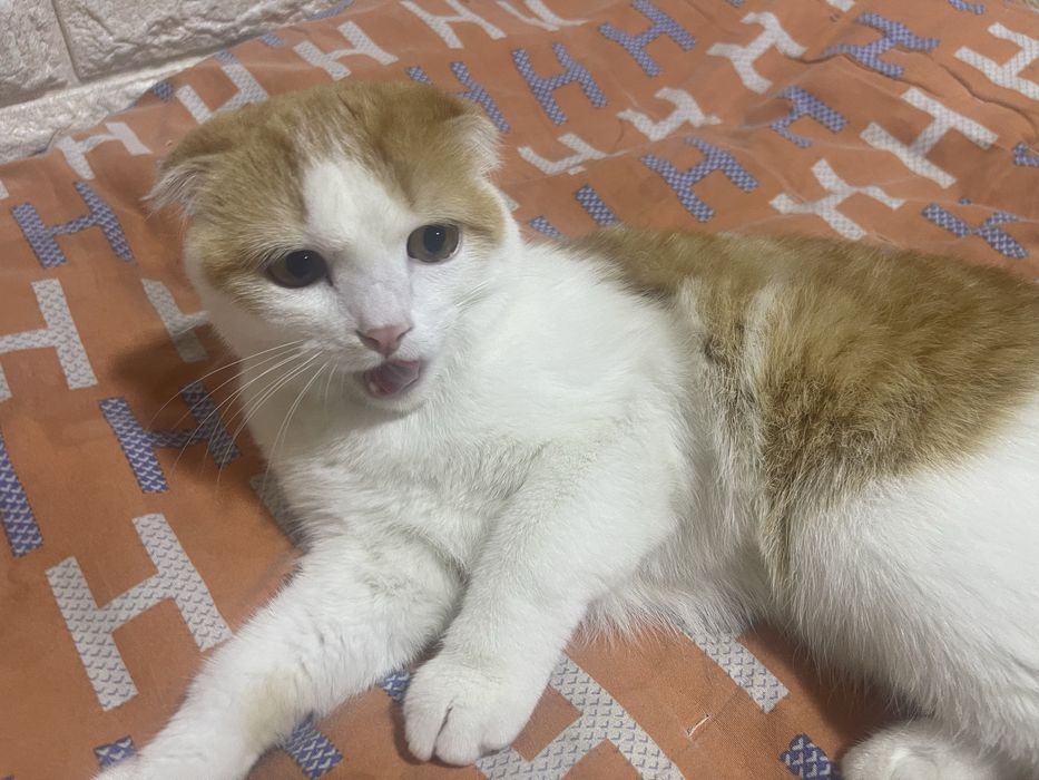 Срочно продается!!!