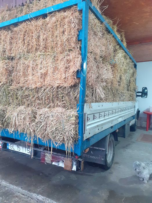 Vând baloți de lucernă cu iarbă