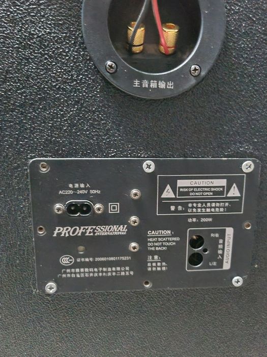 Boxe pasive profesionale