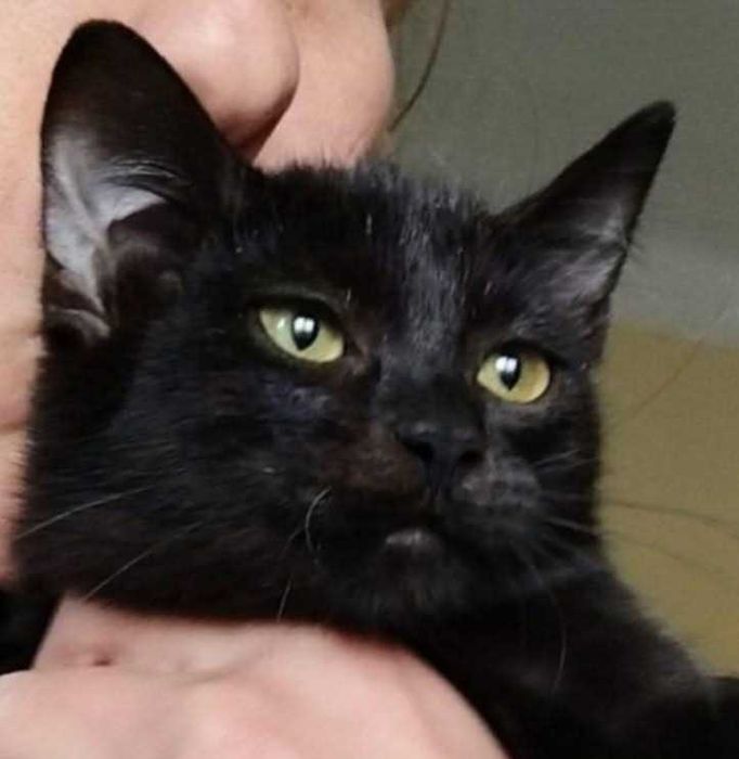 1-годишно момченце от Враца търси ДОМ