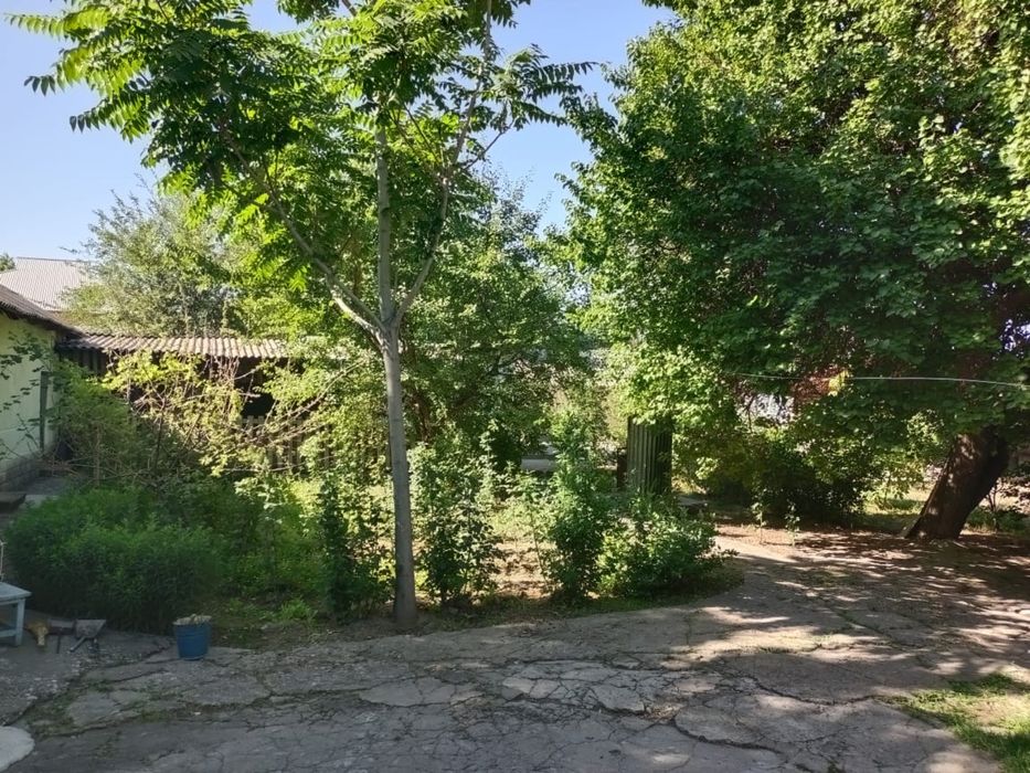 Продам дом с участком