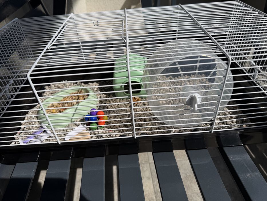 Cusca echipata hamster