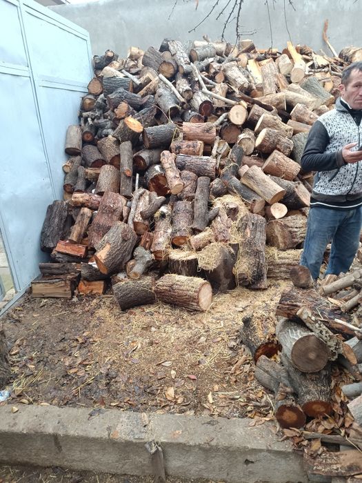 otin otin sotiladi mevali