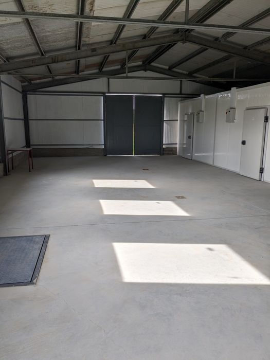 Hala procesare cu camere frigorifice