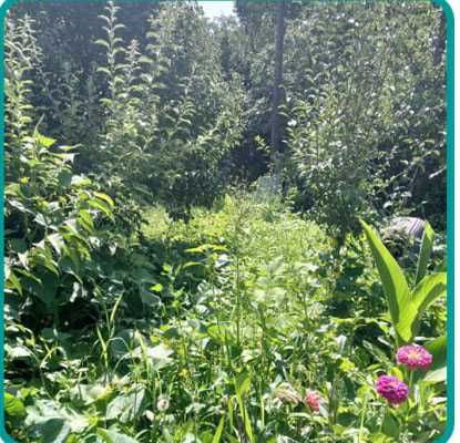 Tayyor uy joy xamma sharoitlar bor