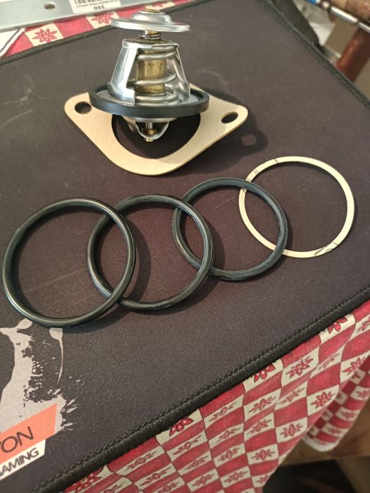 Термостат TH1439.87J