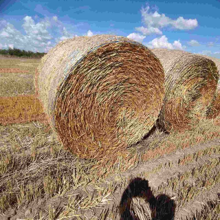 Ролонна бала слама
