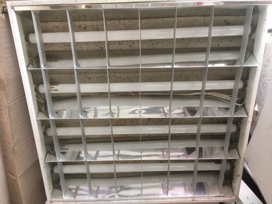 Corpuri luminat cu neon