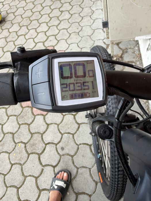 Bicicleta electrica pegasus bergamont bosch