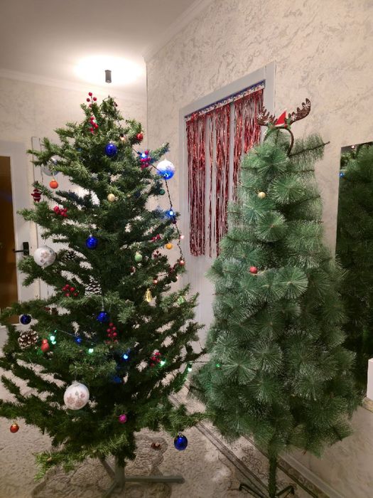 Арча сотилади йахши сифат