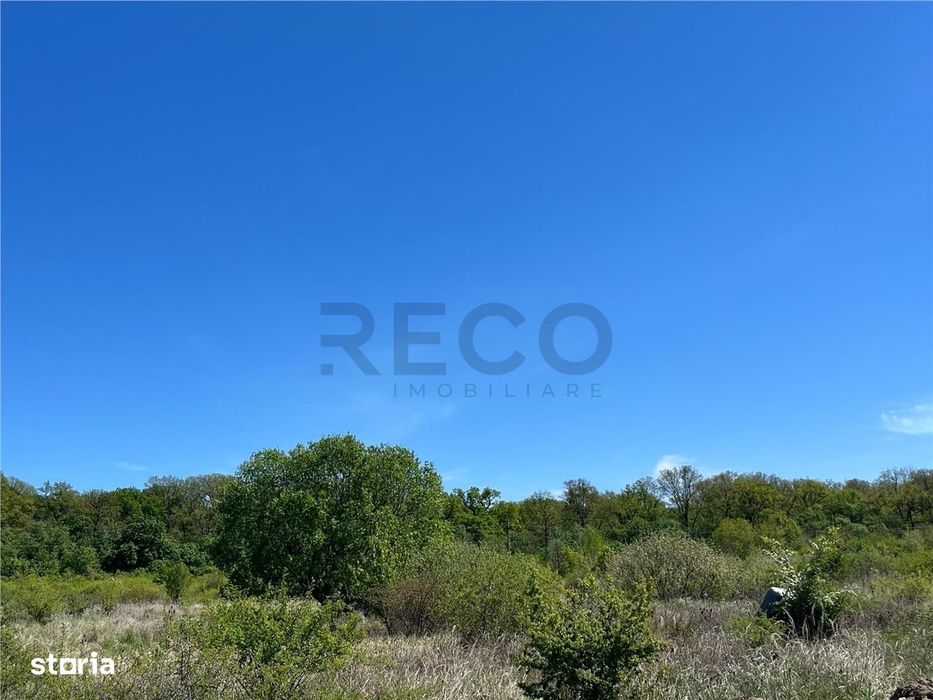 RECO teren intravilan Sanmartin