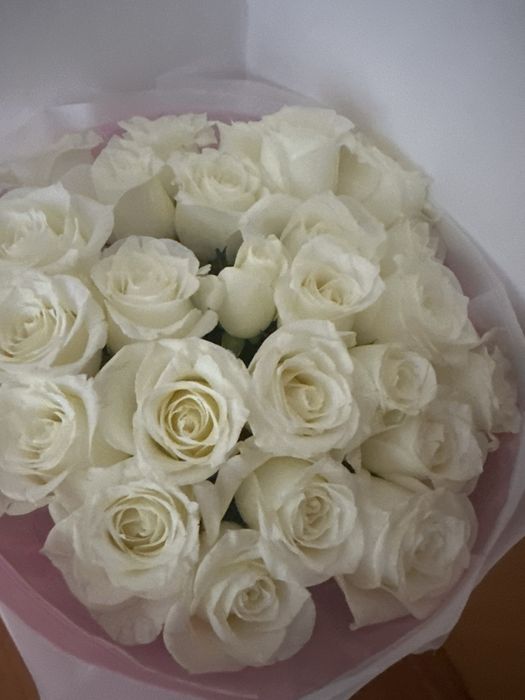 25 роза цена 10к