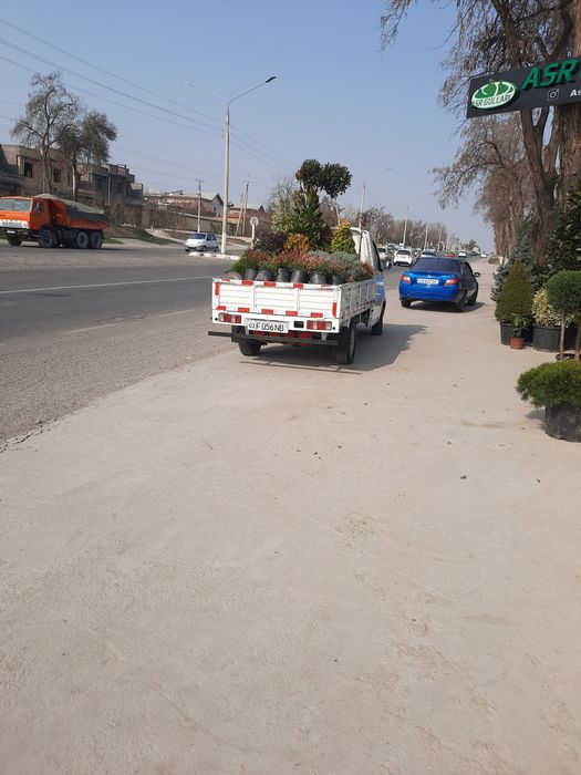 Dastavka changan labo