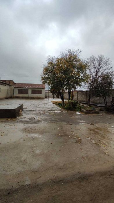 Hovli 8 sotix 5 xona + sanuzel